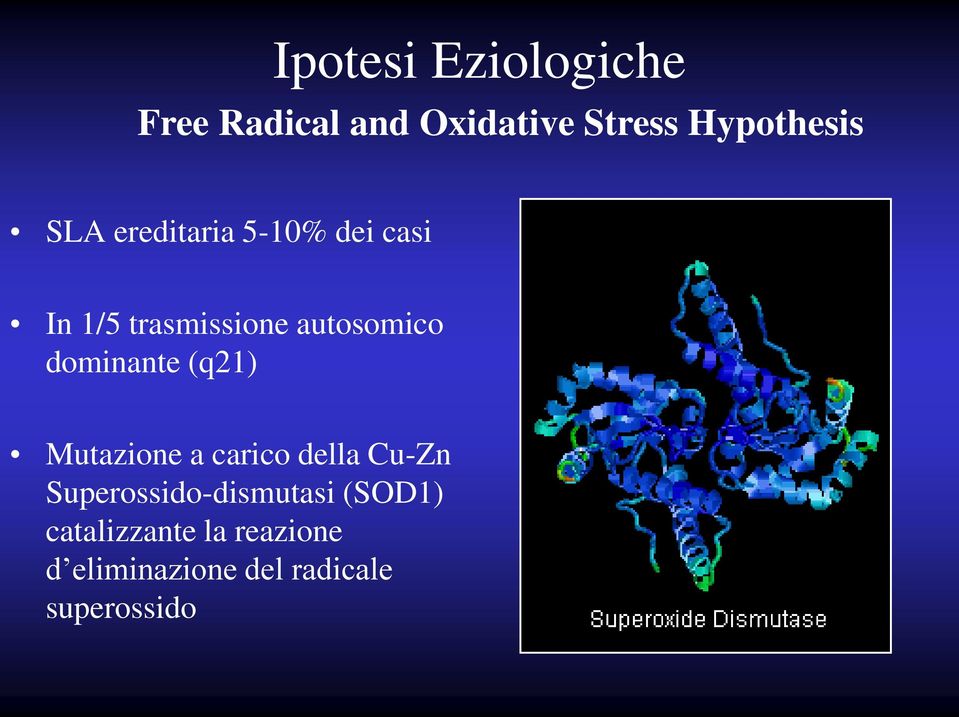dominante (q21) Mutazione a carico della Cu-Zn