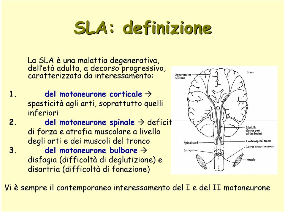 del motoneurone spinale deficit di forza e atrofia muscolare a livello degli arti e dei muscoli del tronco 3.