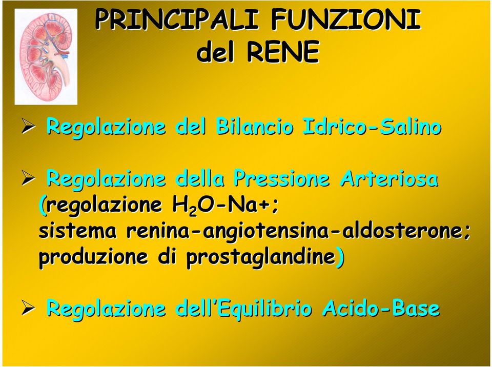 (regolazione H 2 O-Na+; sistema renina-angiotensina