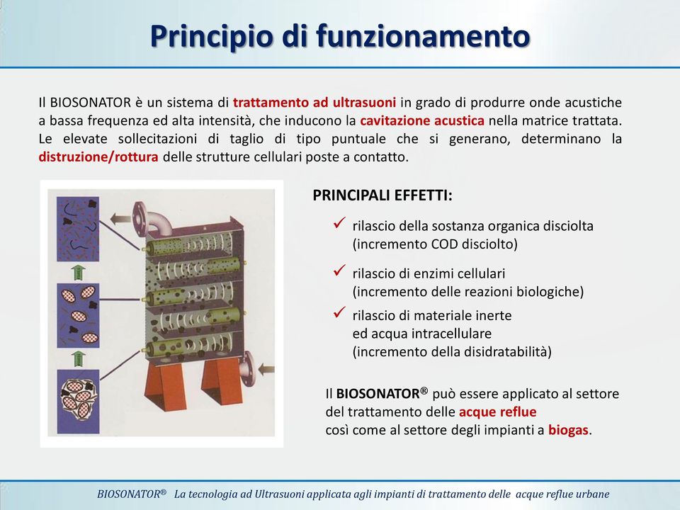 PRINCIPALI EFFETTI: rilascio della sostanza organica disciolta (incremento COD disciolto) rilascio di enzimi cellulari (incremento delle reazioni biologiche) rilascio di materiale