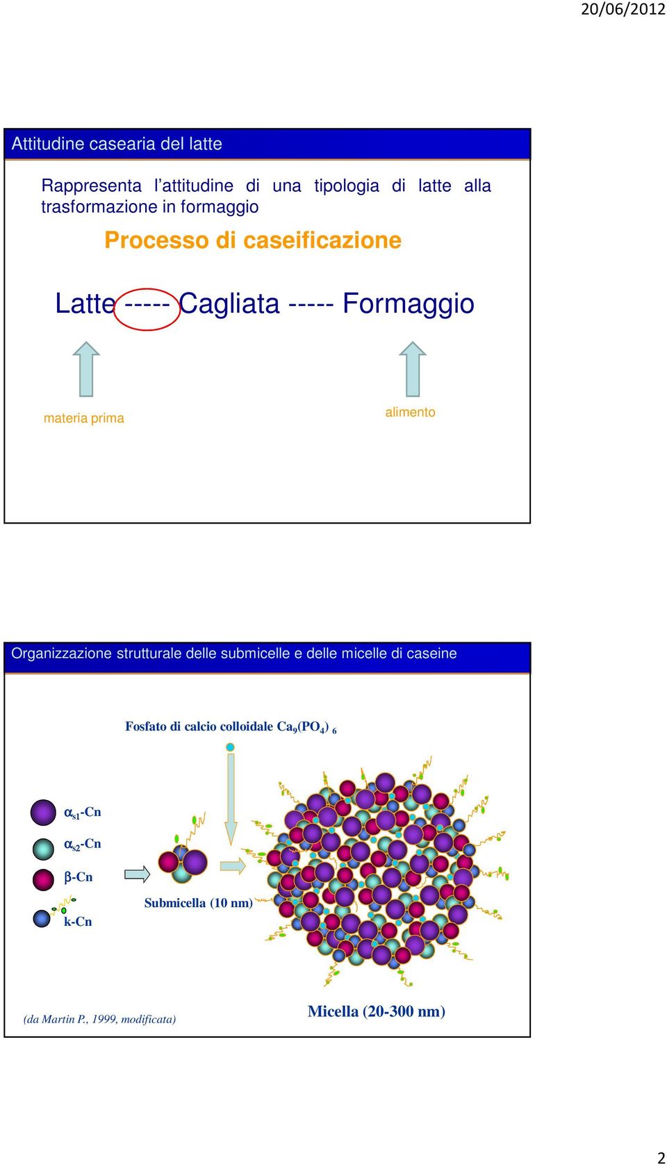 materia prima Ef Organizzazione strutturale delle submicelle e delle micelle di caseine Fosfato di calcio