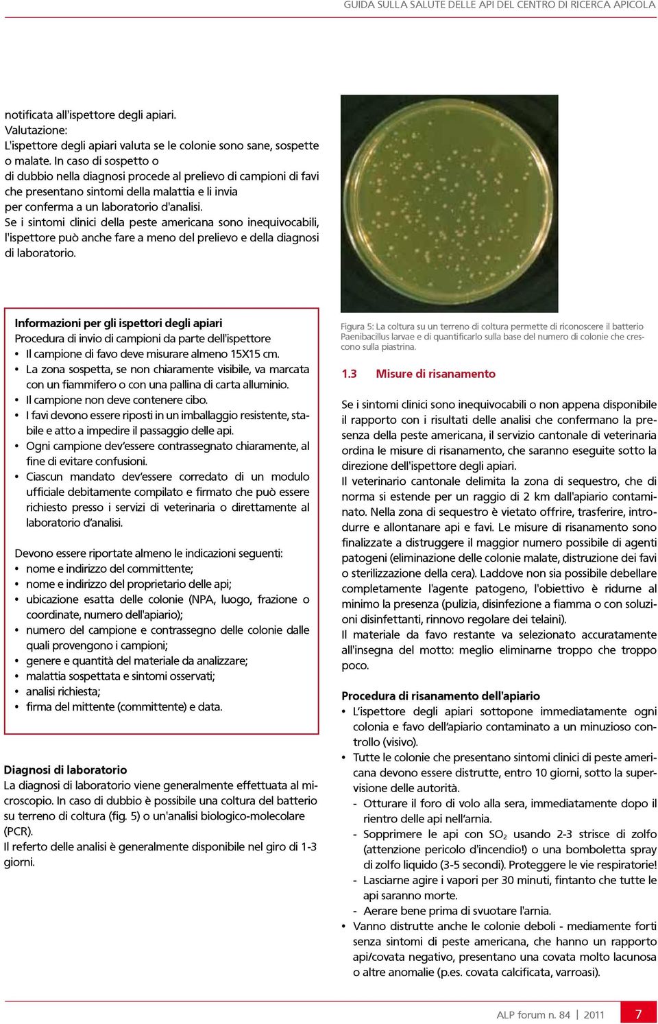 Se i sintomi clinici della peste americana sono inequivocabili, l'ispettore può anche fare a meno del prelievo e della diagnosi di laboratorio.