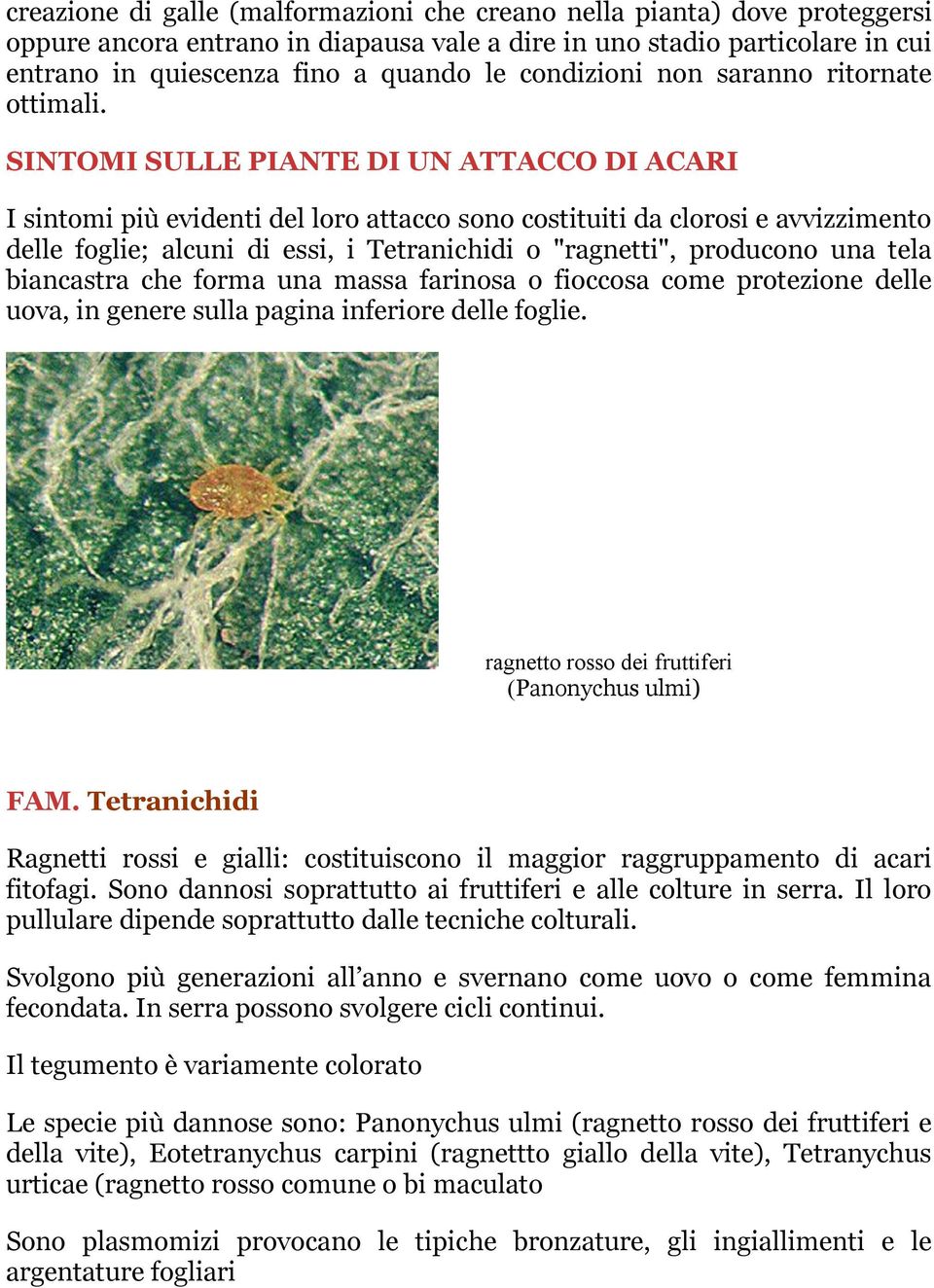 SINTOMI SULLE PIANTE DI UN ATTACCO DI ACARI I sintomi più evidenti del loro attacco sono costituiti da clorosi e avvizzimento delle foglie; alcuni di essi, i Tetranichidi o "ragnetti", producono una