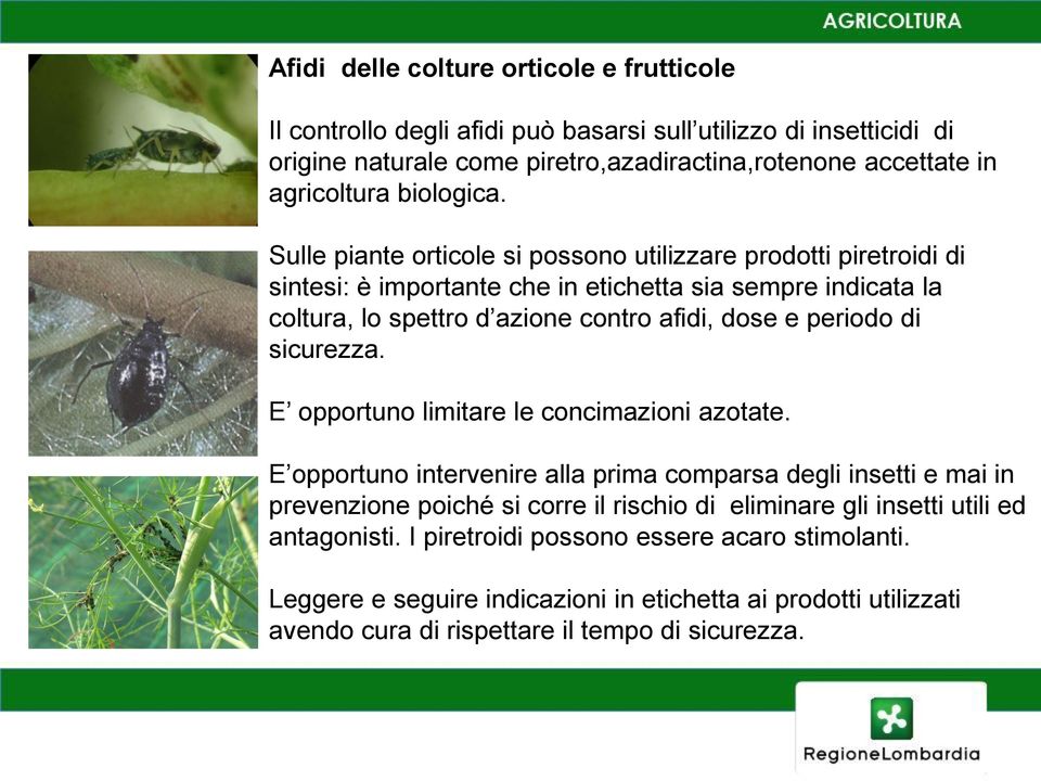 Sulle piante orticole si possono utilizzare prodotti piretroidi di sintesi: è importante che in etichetta sia sempre indicata la coltura, lo spettro d azione contro afidi, dose e periodo di