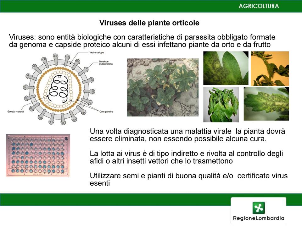 essere eliminata, non essendo possibile alcuna cura.