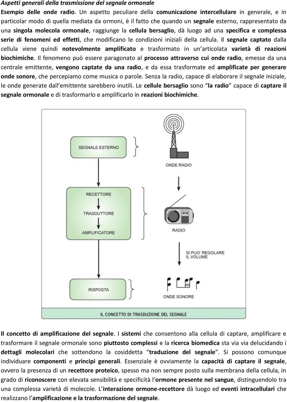 ormonale, raggiunge la cellula bersaglio, dà luogo ad una specifica e complessa serie di fenomeni ed effetti, che modificano le condizioni iniziali della cellula.