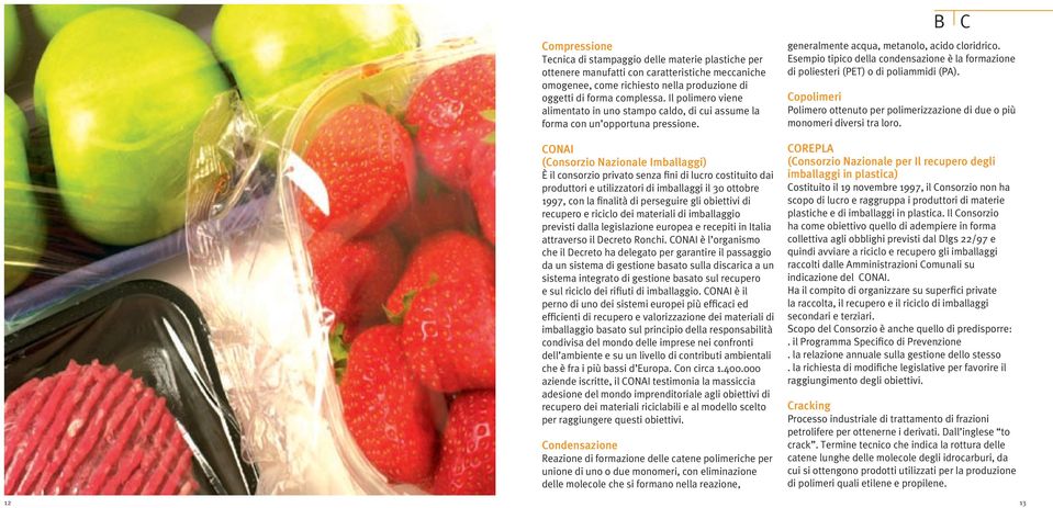 CONAI (Consorzio Nazionale Imballaggi) È il consorzio privato senza fini di lucro costituito dai produttori e utilizzatori di imballaggi il 30 ottobre 1997, con la finalità di perseguire gli
