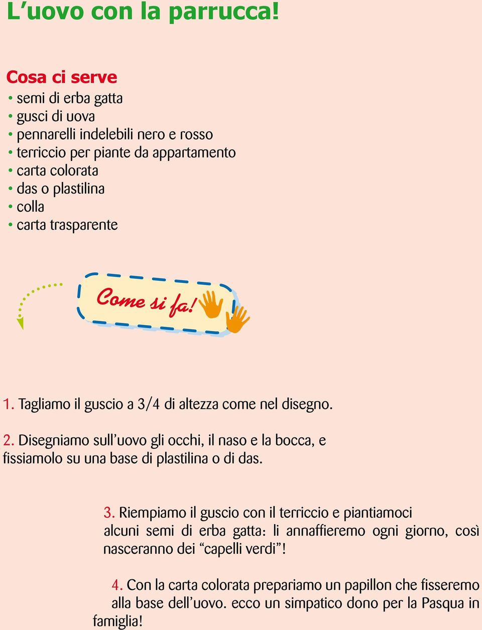 trasparente 1. Tagliamo il guscio a 3/4 di altezza come nel disegno. 2.