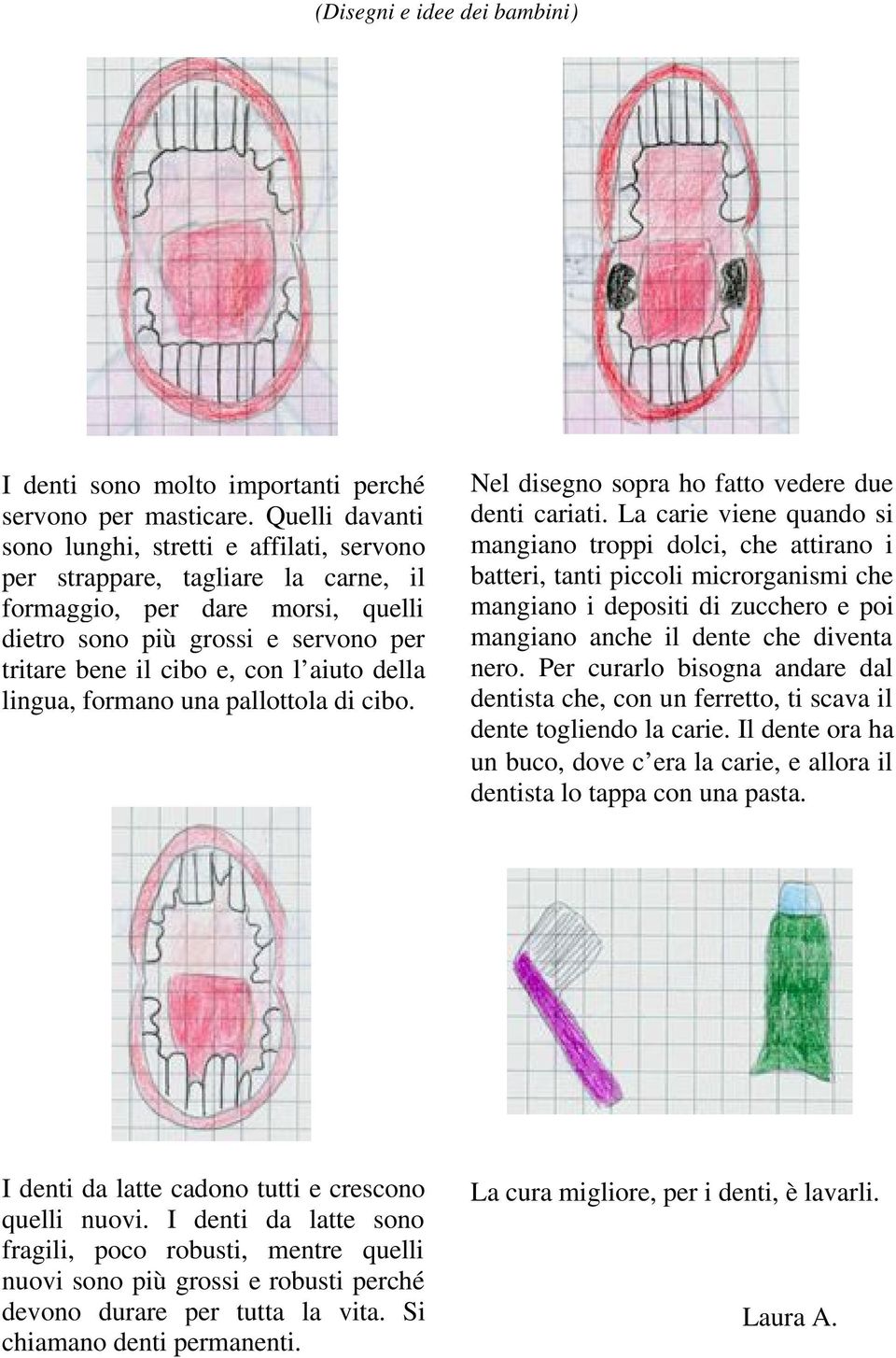 della lingua, formano una pallottola di cibo. Nel disegno sopra ho fatto vedere due denti cariati.