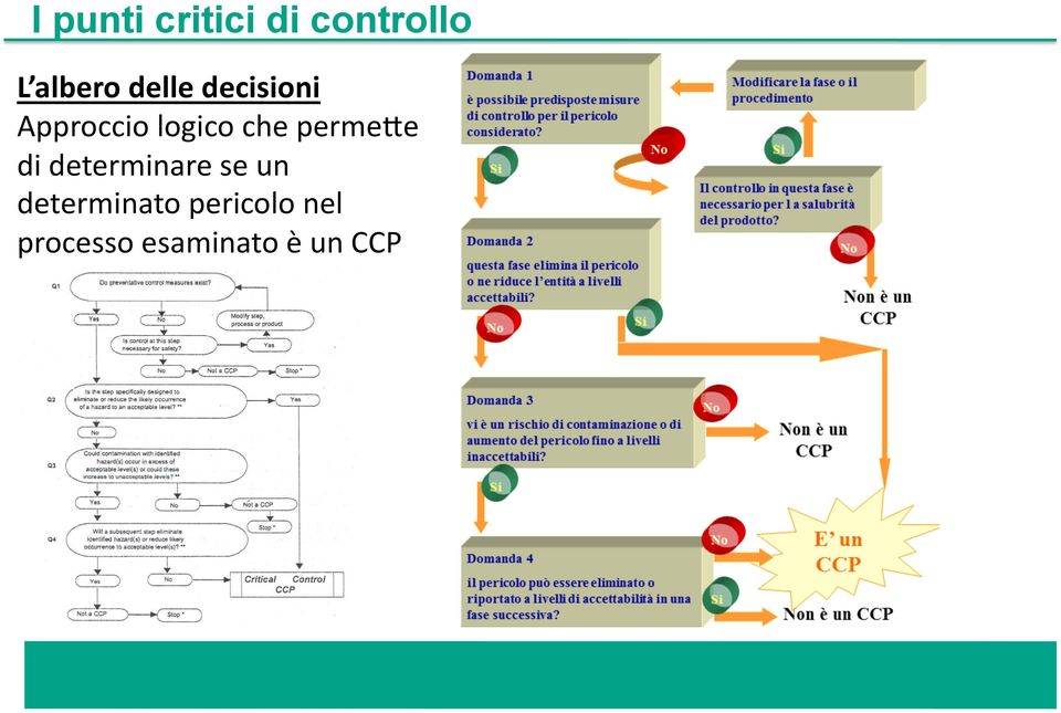 perme-e di determinare se un