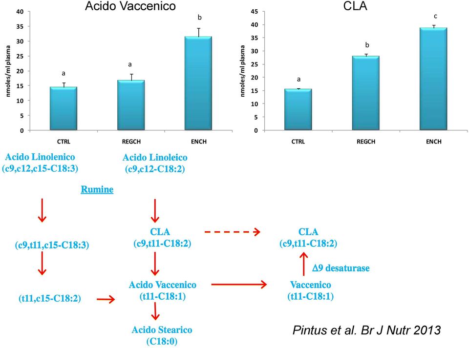 Rumine 0 CTRL REGCH ENCH (c9,t11,c15-c18:3) (t11,c15-c18:2) CLA (c9,t11-c18:2) Acido Vaccenico