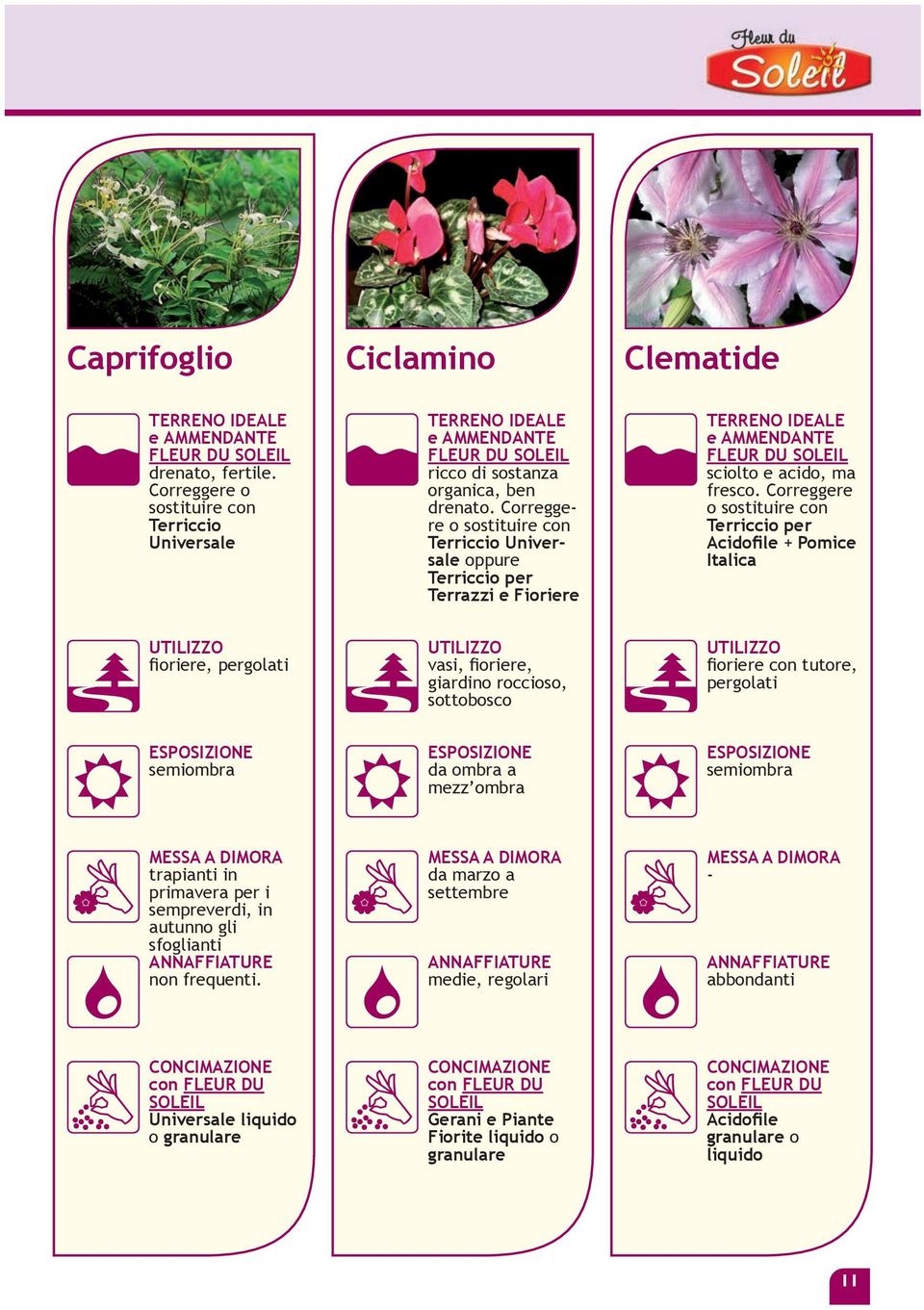 Correggere o sostituire con Terriccio per Acidofile + Pomice Italica fioriere, pergolati vasi, fioriere, giardino roccioso, sottobosco fioriere con tutore, pergolati