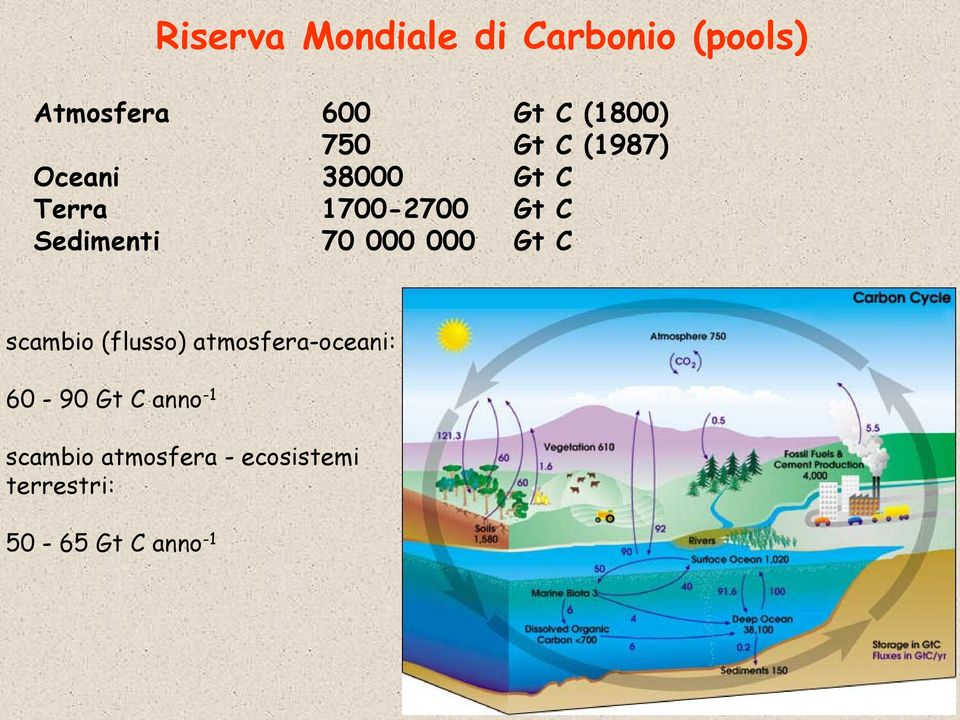 (flusso) atmosfera-oceani: 60-90 Gt C anno -1 scambio atmosfera - ecosistemi