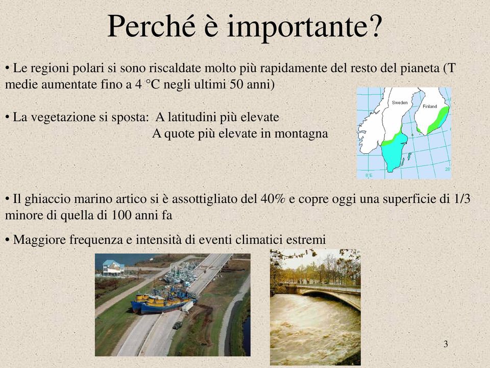 a 4 C negli ultimi 50 anni) La vegetazione si sposta: A latitudini più elevate A quote più elevate in