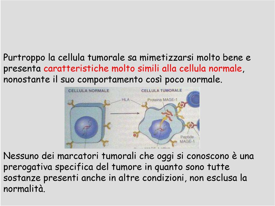 Nessuno dei marcatori tumorali che oggi si conoscono è una prerogativa specifica del