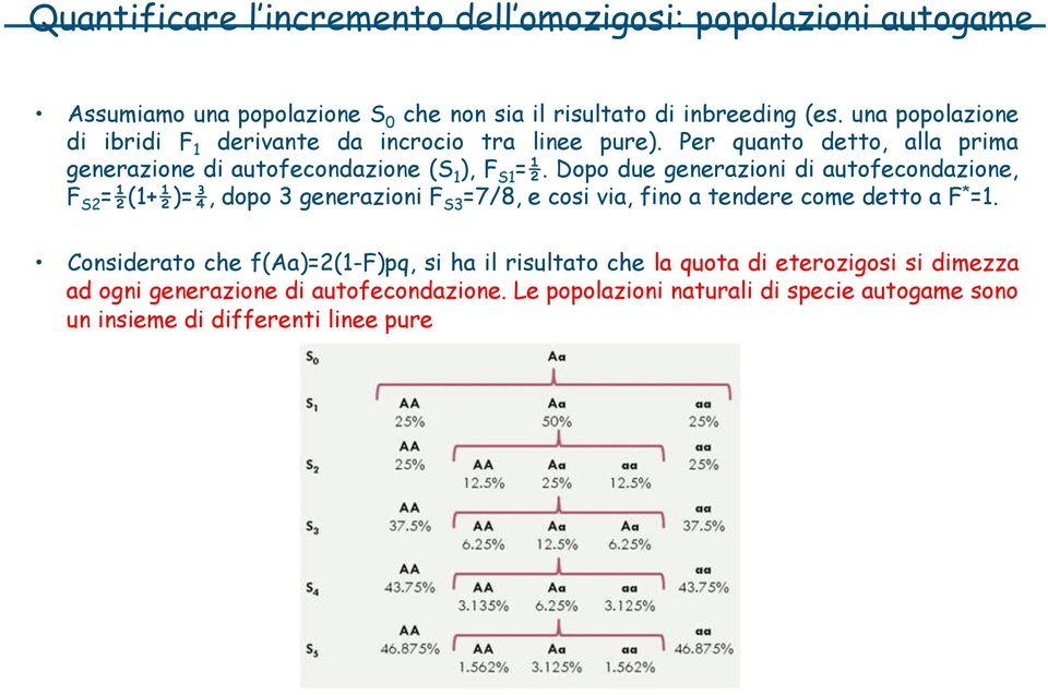 Dopo due generazioni di autofecondazione, F S2 =½(1+½)=¾, dopo 3 generazioni F S3 =7/8, e cosi via, fino a tendere come detto a F * =1.