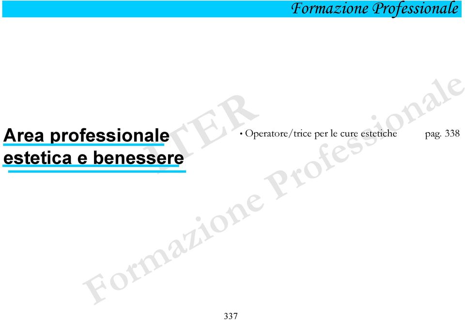 Professionale 337