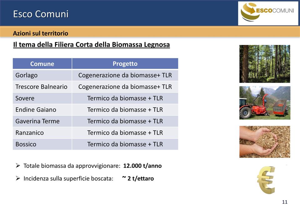 biomasse+ TLR Termico da biomasse + TLR Termico da biomasse + TLR Termico da biomasse + TLR Termico da biomasse + TLR