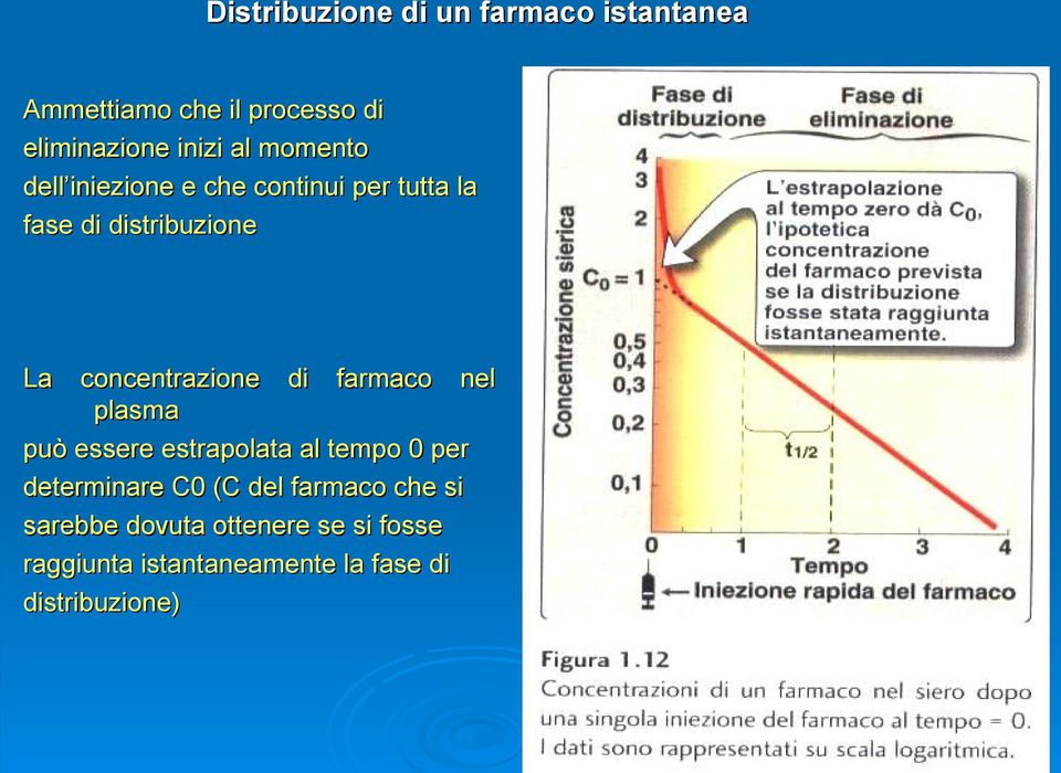 di farmaco nel plasma può essere estrapolata al tempo 0 per determinare C0 (C del farmaco