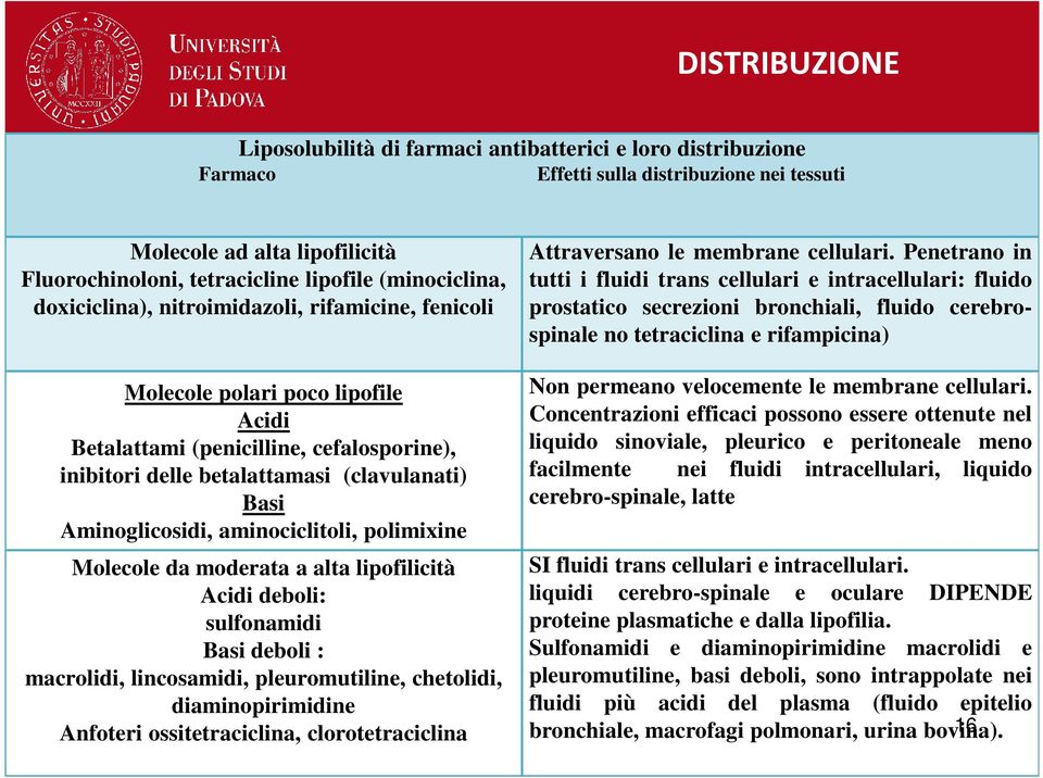 Aminoglicosidi, aminociclitoli, polimixine Molecole da moderata a alta lipofilicità Acidi deboli: sulfonamidi Basi deboli : macrolidi, lincosamidi, pleuromutiline, chetolidi, diaminopirimidine