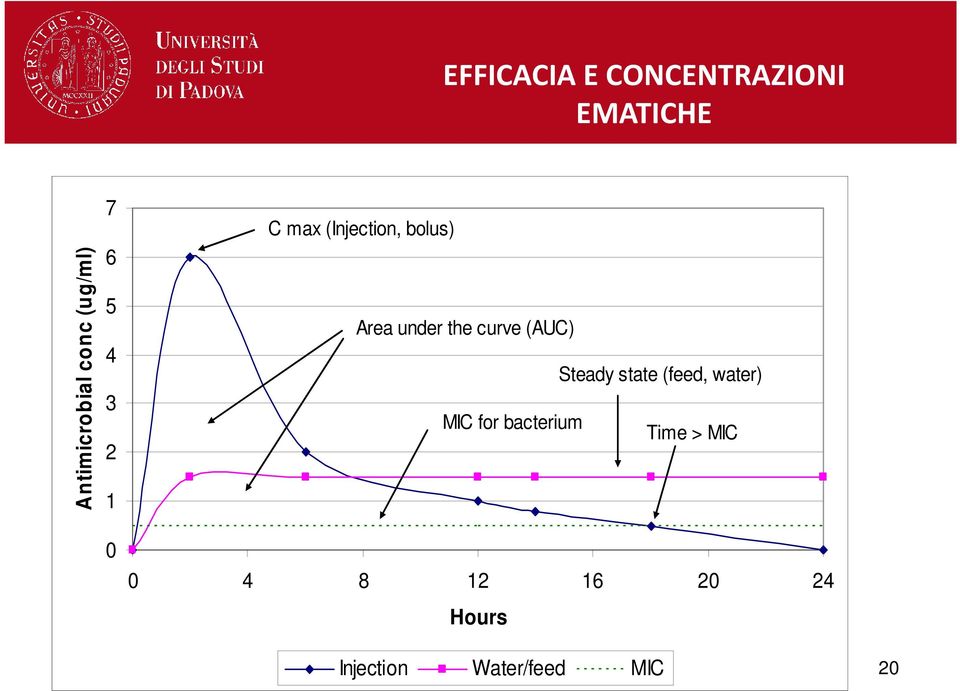 the curve (AUC) Steady state (feed, water) MIC for