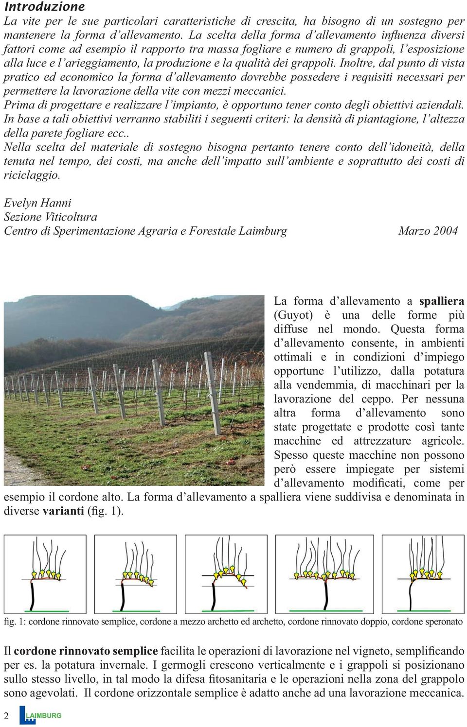 qualità dei grappoli. Inoltre, dal punto di vista pratico ed economico la forma d allevamento dovrebbe possedere i requisiti necessari per permettere la lavorazione della vite con mezzi meccanici.