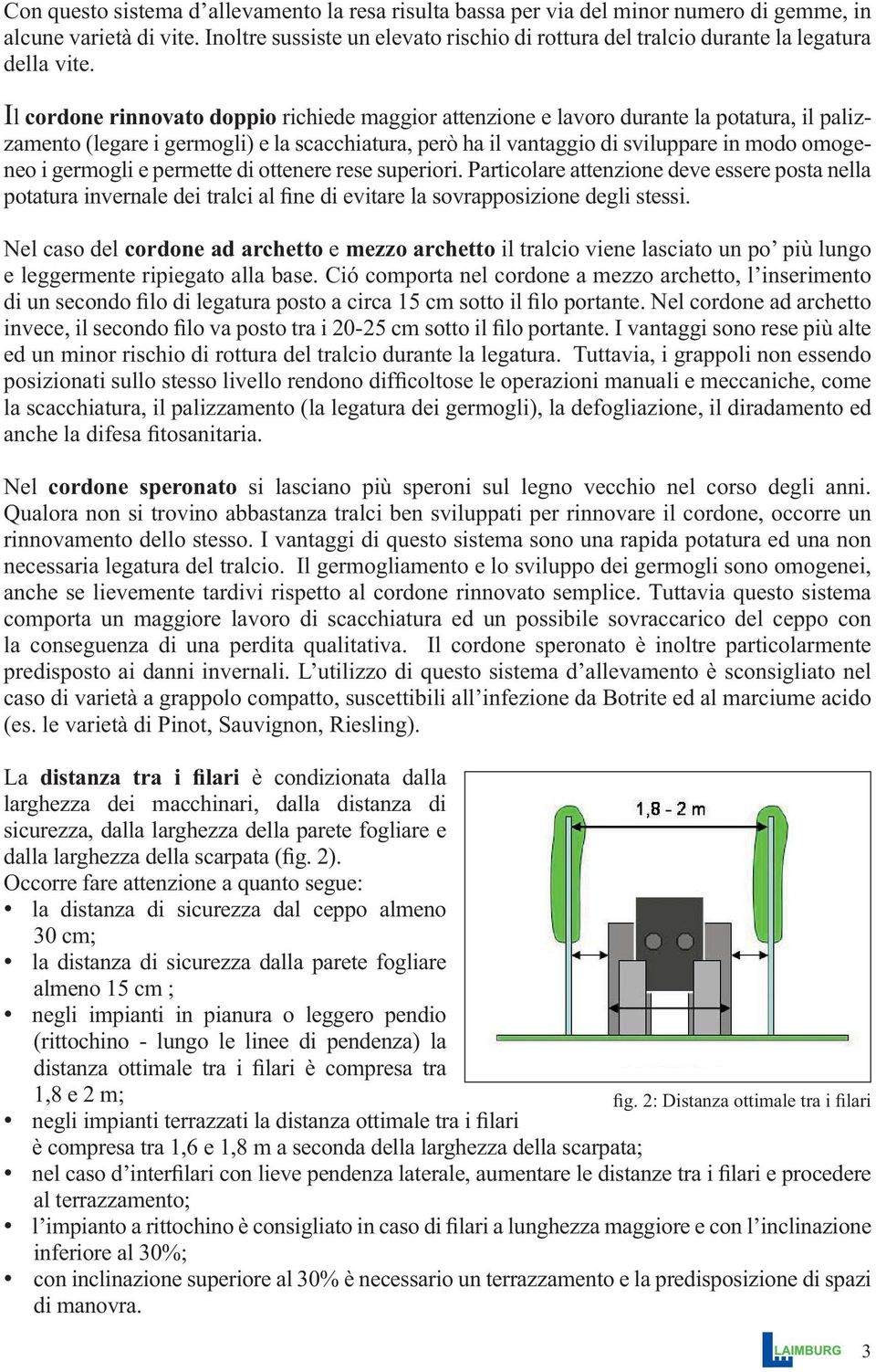 Il cordone rinnovato doppio richiede maggior attenzione e lavoro durante la potatura, il palizzamento (legare i germogli) e la scacchiatura, però ha il vantaggio di sviluppare in modo omogeneo i