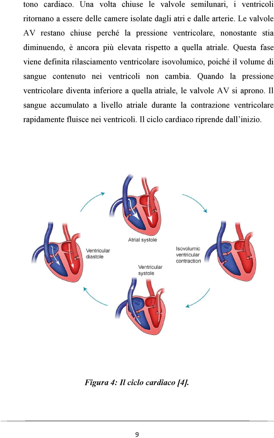Questa fase viene definita rilasciamento ventricolare isovolumico, poiché il volume di sangue contenuto nei ventricoli non cambia.
