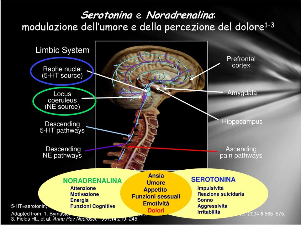 NORADRENALINA Attenzione Impulsività Motivazione Reazione suicidaria Energia Sonno 5-HT=serotonin; NE=norepinephrine.
