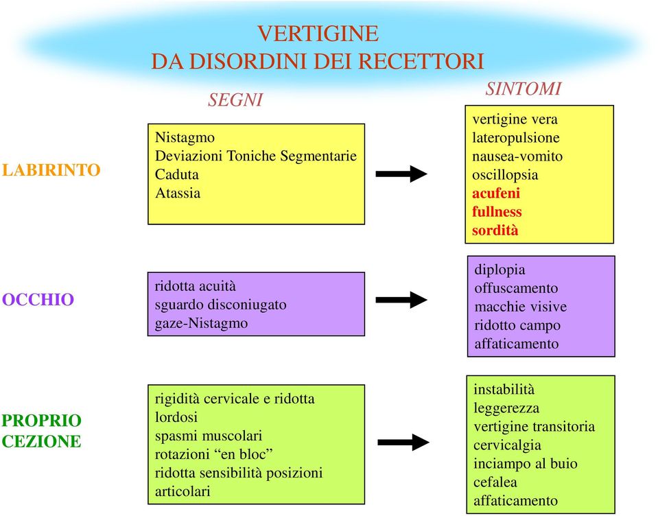 offuscamento macchie visive ridotto campo affaticamento PROPRIO CEZIONE rigidità cervicale e ridotta lordosi spasmi muscolari rotazioni