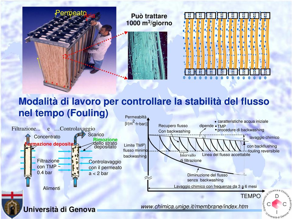 4 bar Alimenti Scarico Rimozione dello strato depositato Controlavaggio con il permeato a < 2 bar Permeabiltà [l/(m 2 h bar)] Limite TMP flusso minimo backwashing