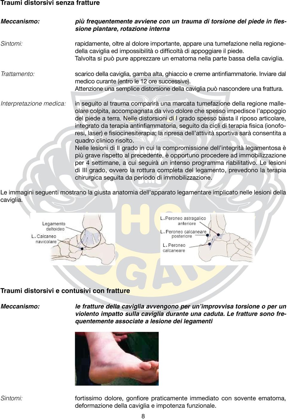 scarico della caviglia, gamba alta, ghiaccio e creme antinfiammatorie. Inviare dal medico curante (entro le 12 ore successive).