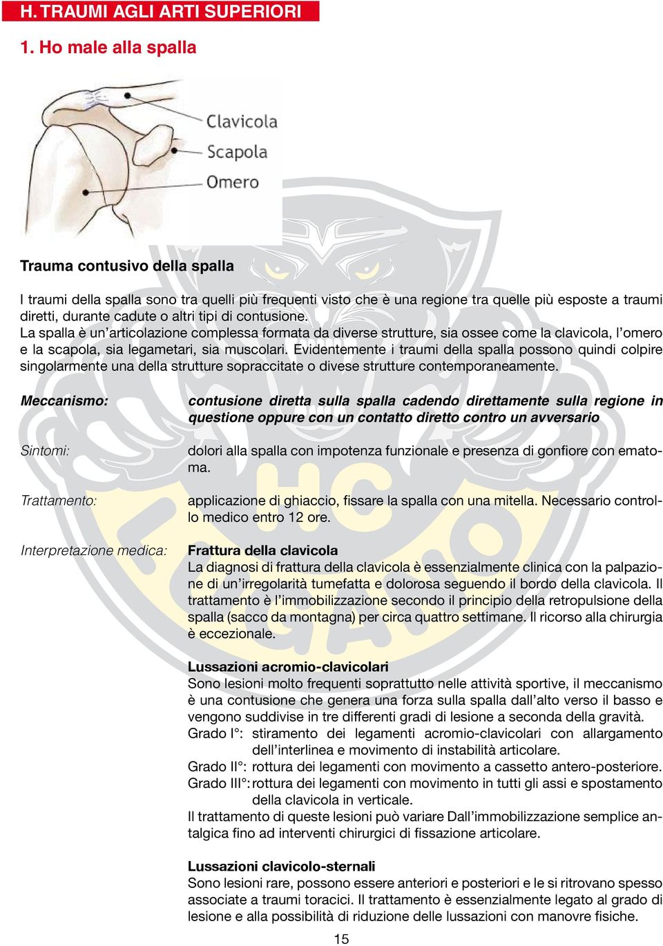 contusione. La spalla è un articolazione complessa formata da diverse strutture, sia ossee come la clavicola, l omero e la scapola, sia legametari, sia muscolari.