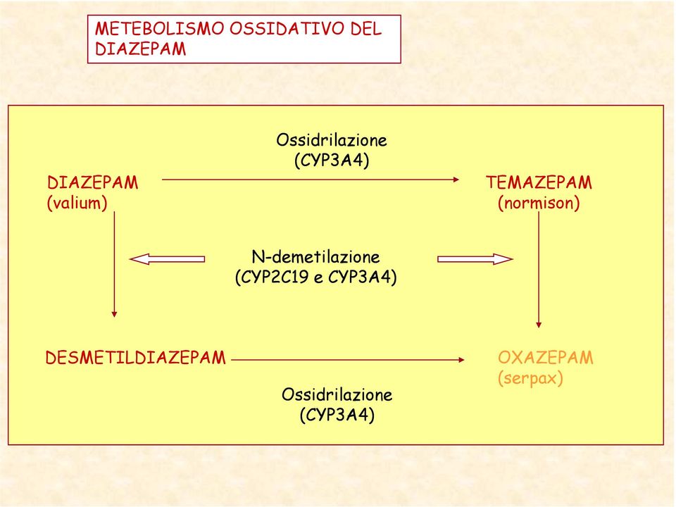 (normison) N-demetilazione (CYP2C19 e CYP3A4)