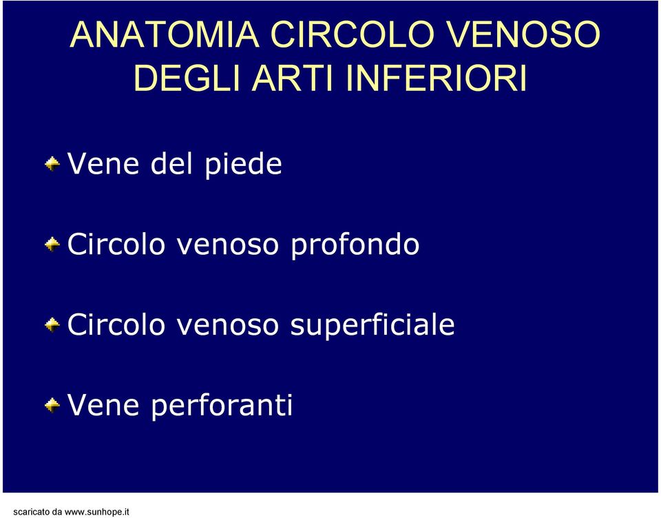 Circolo venoso profondo Circolo