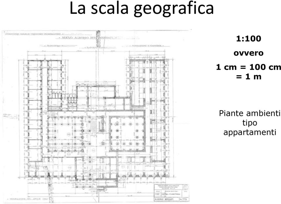 100 cm = 1 m Piante