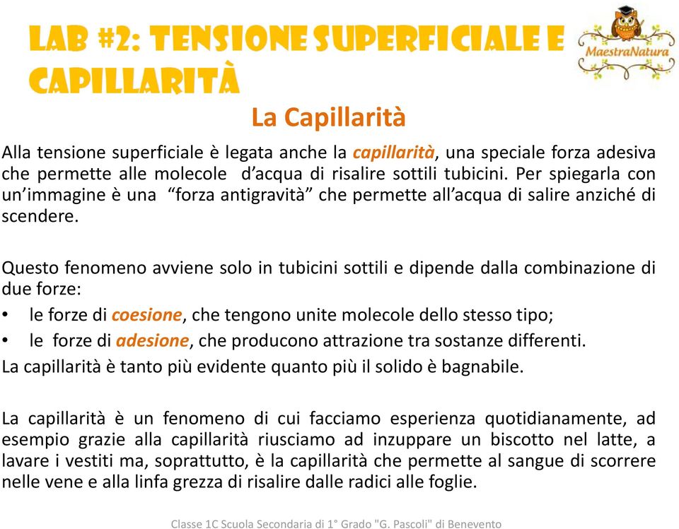 Questo fenomeno avviene solo in tubicini sottili e dipende dalla combinazione di due forze: le forze di coesione, che tengono unite molecole dello stesso tipo; le forze di adesione, che producono