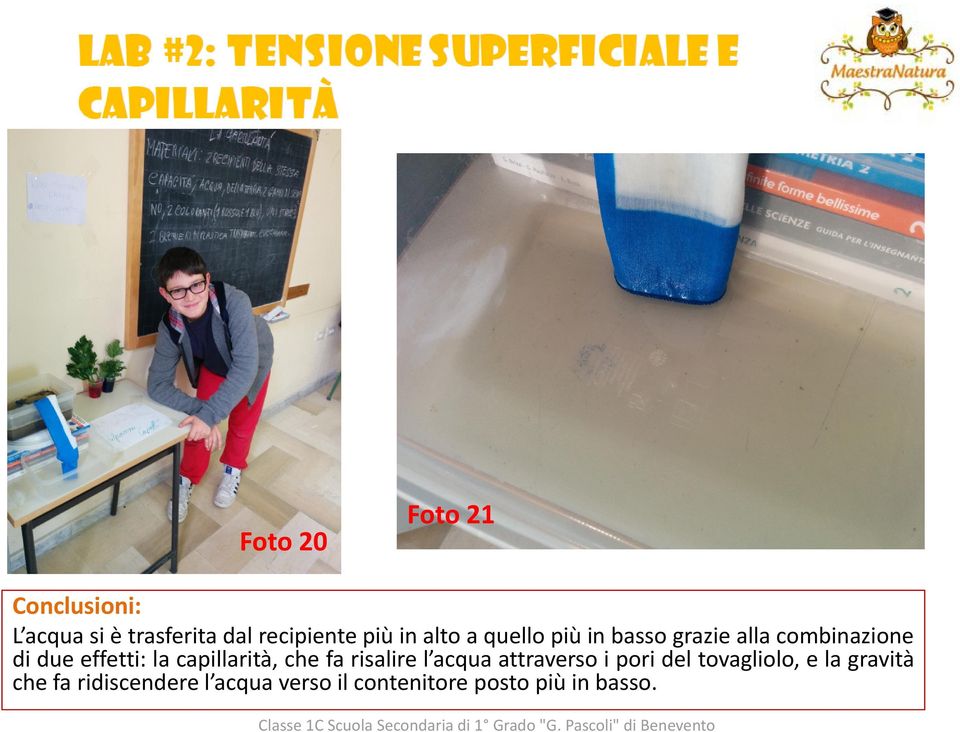 capillarità, che fa risalire l acqua attraverso i pori del tovagliolo, e