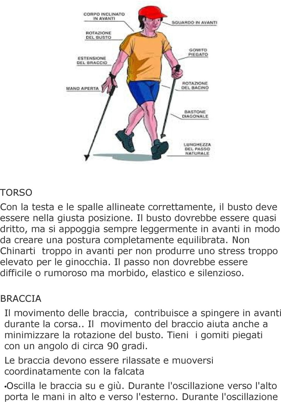 Non Chinarti troppo in avanti per non produrre uno stress troppo elevato per le ginocchia. Il passo non dovrebbe essere difficile o rumoroso ma morbido, elastico e silenzioso.