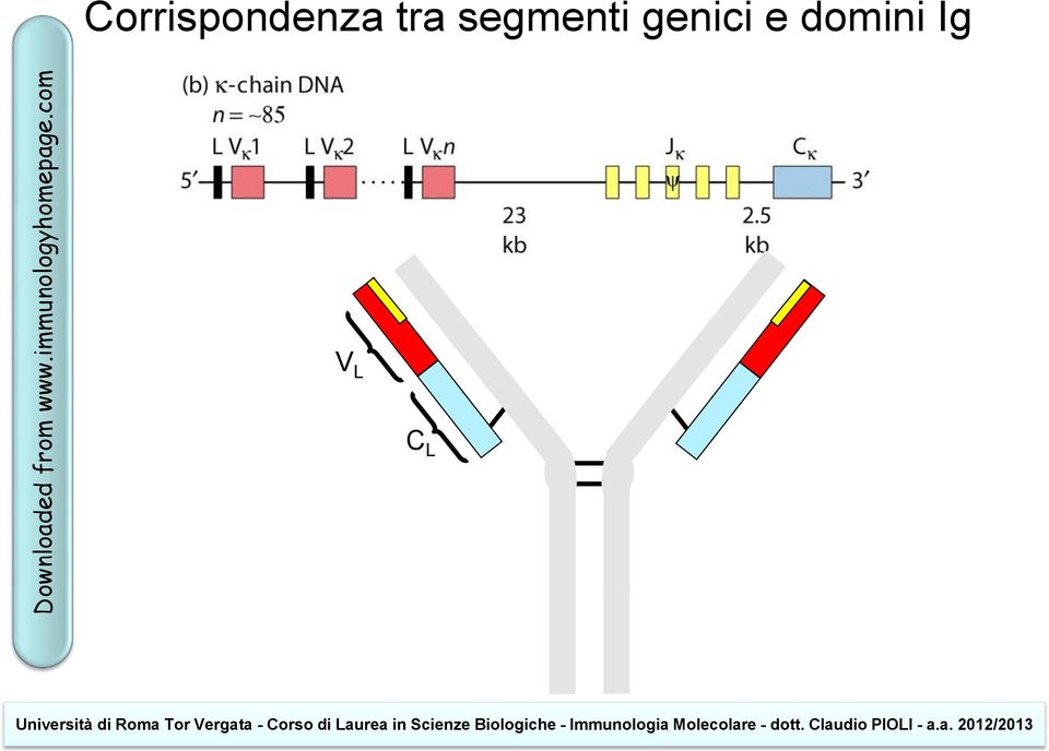 com Corrispondenza tra