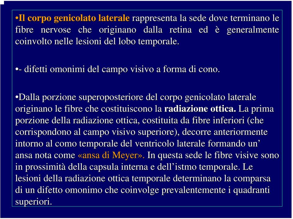 La prima porzione della radiazione ottica, costituita da fibre inferiori (che corrispondono al campo visivo superiore), decorre anteriormente intorno al como temporale del ventricolo laterale