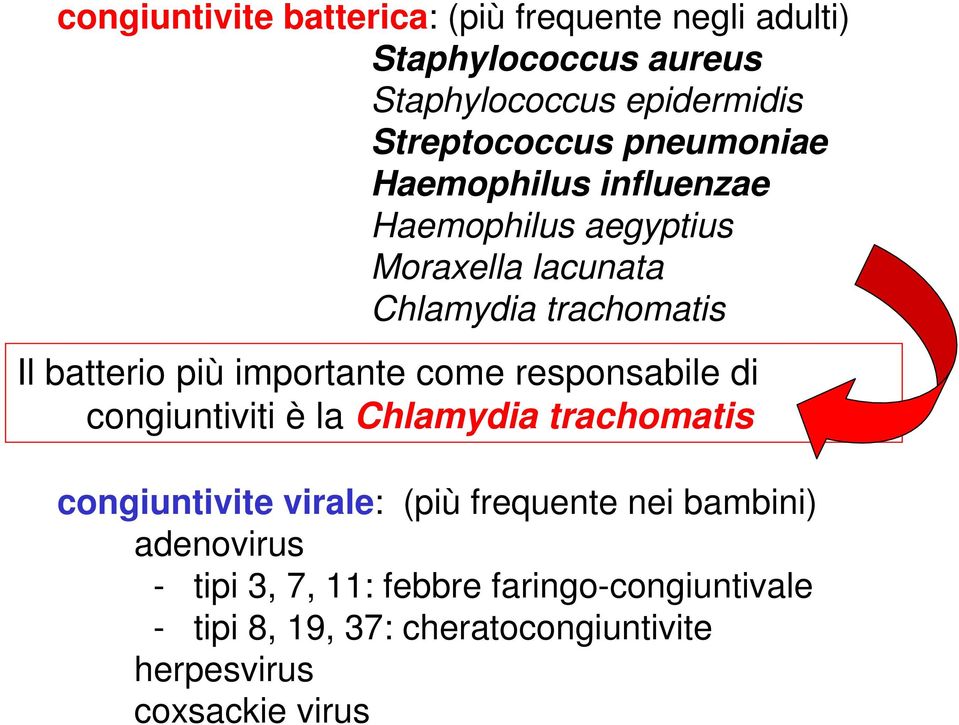 importante come responsabile di congiuntiviti è la Chlamydia trachomatis congiuntivite virale: (più frequente nei