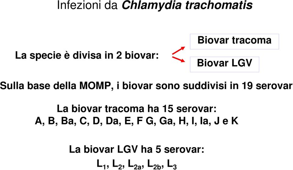 suddivisi in 19 serovar La biovar tracoma ha 15 serovar: A, B, Ba, C,