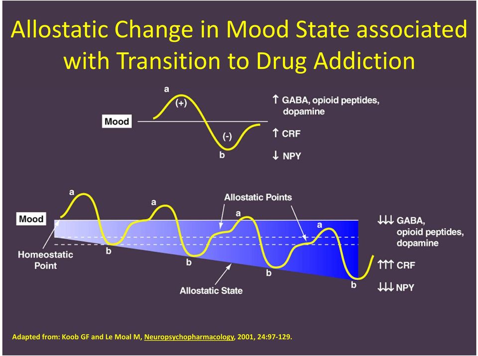 Addiction Adapted from: Koob GF and Le