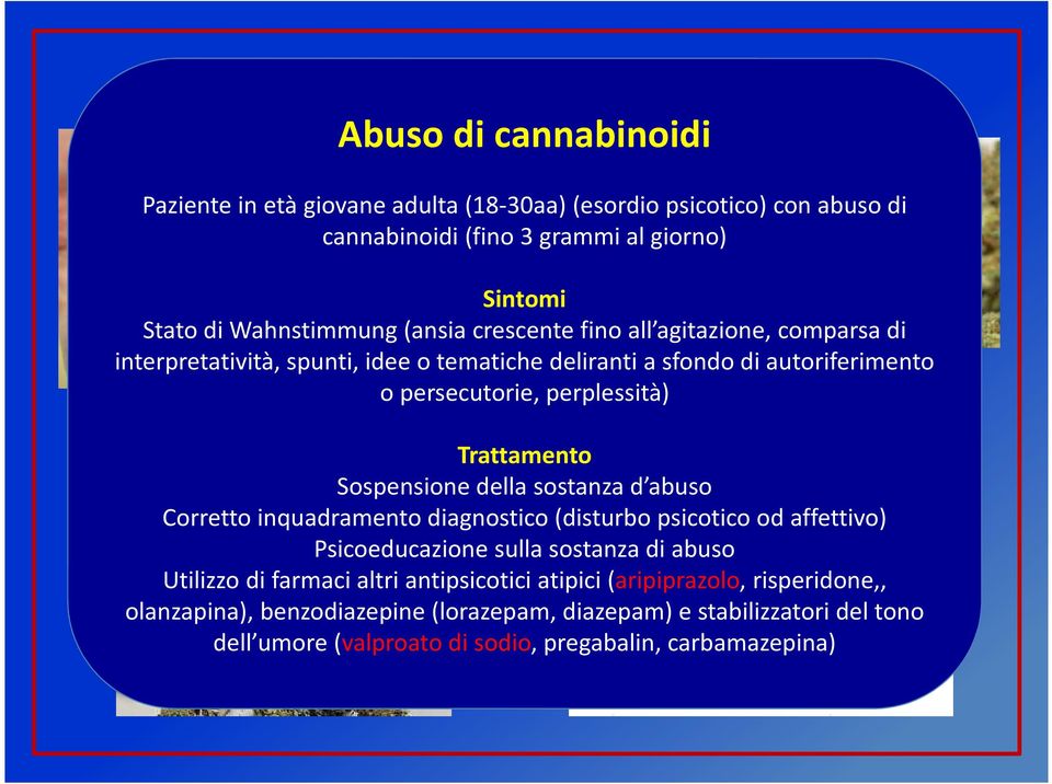 Trattamento Sospensione della sostanza d abuso Corretto inquadramento diagnostico (disturbo psicotico od affettivo) Psicoeducazione sulla sostanza di abuso Utilizzo di farmaci