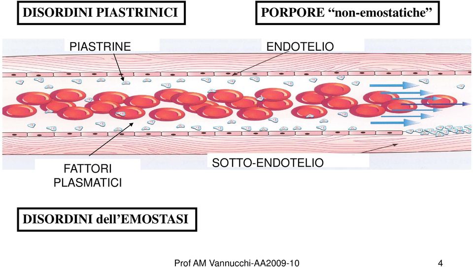 ENDOTELIO FATTORI PLASMATICI