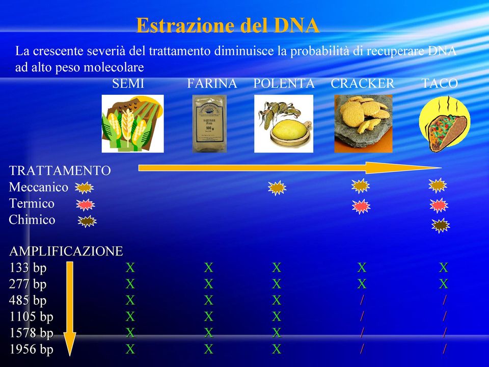 FARINA POLENTA CRACKER TACO TRATTAMENTO Meccanico Termico Chimico