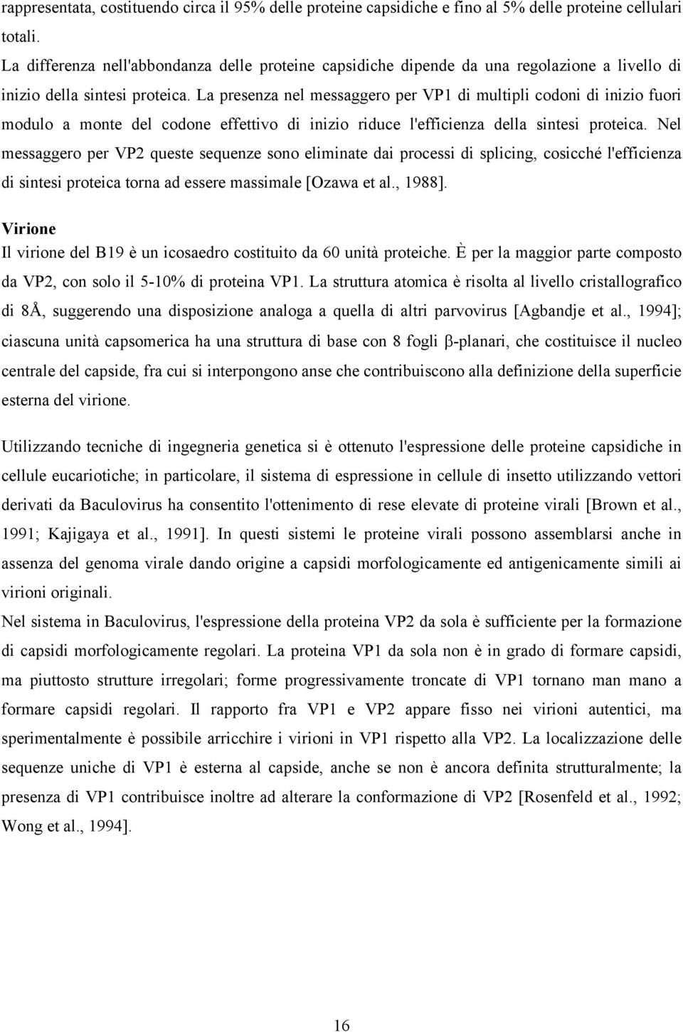 La presenza nel messaggero per VP1 di multipli codoni di inizio fuori modulo a monte del codone effettivo di inizio riduce l'efficienza della sintesi proteica.