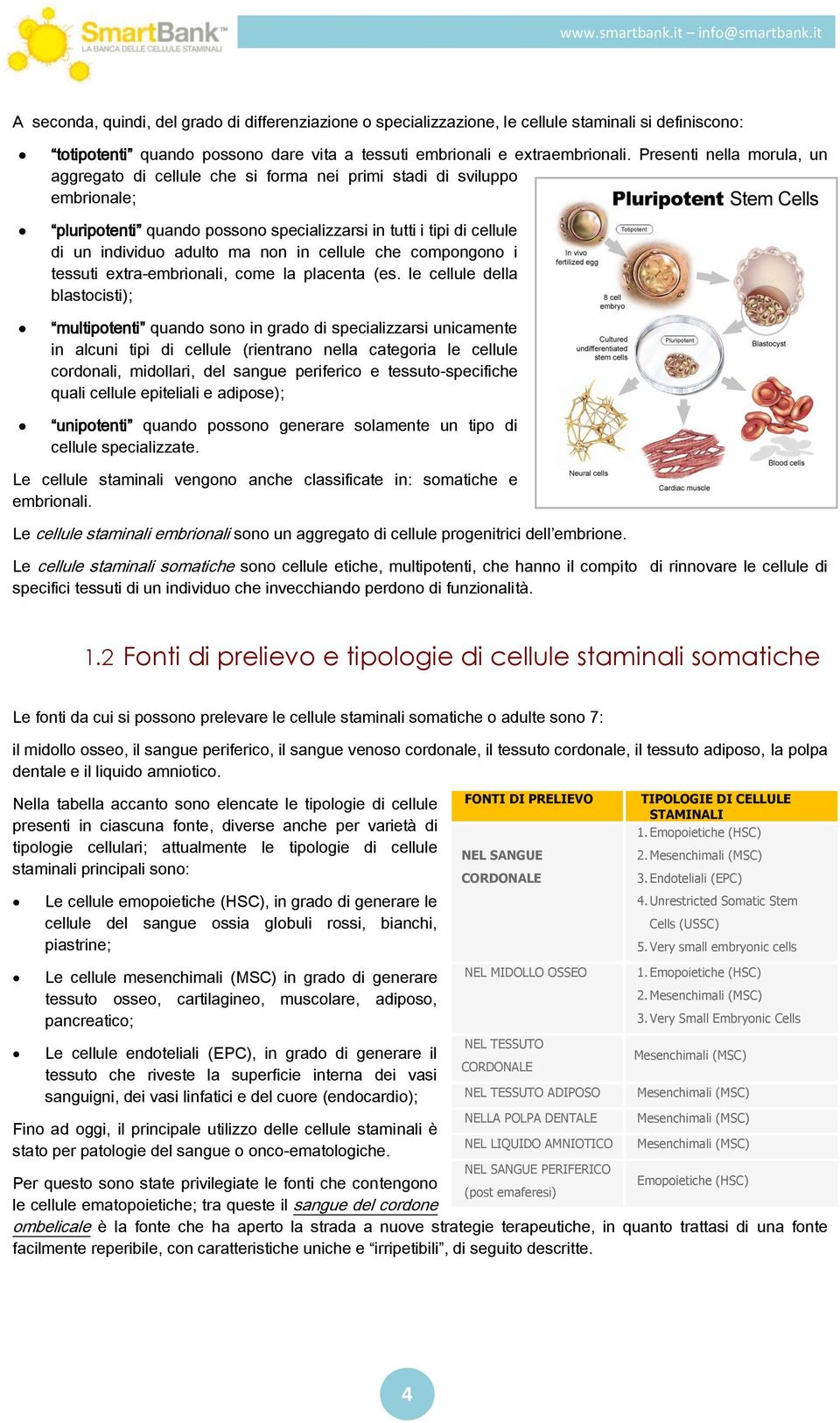 in cellule che compongono i tessuti extra-embrionali, come la placenta (es.