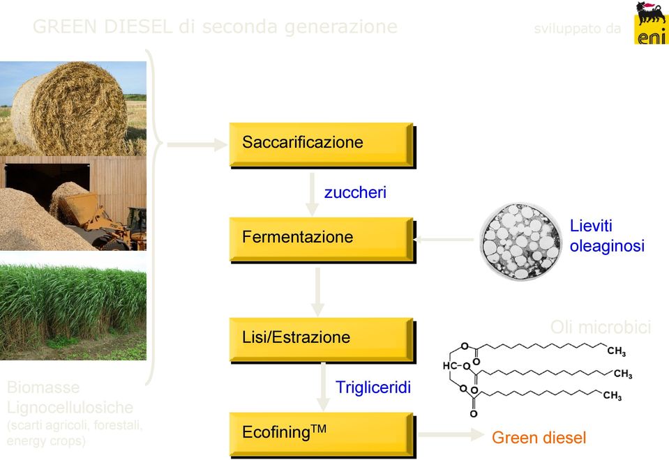 Lisi/Estrazione Oli microbici Biomasse Lignocellulosiche